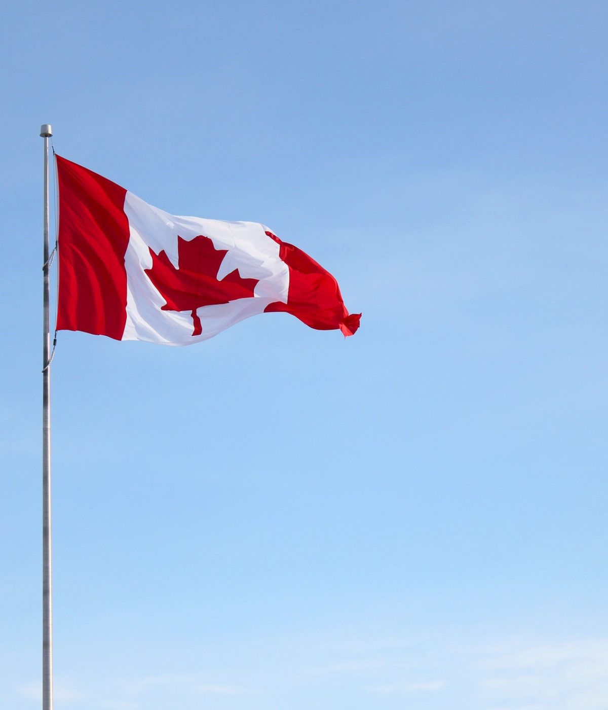 The National Flag of Canada, sometimes known as the Maple Leaf Flag (l